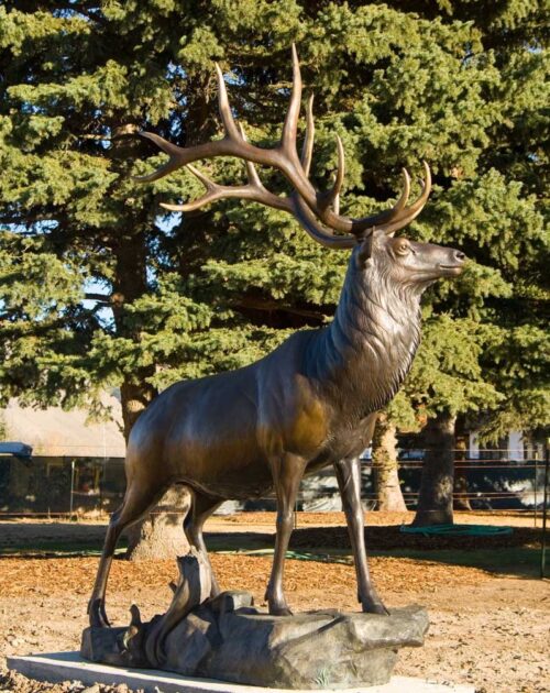 Art Bronze Sculpture of Elk