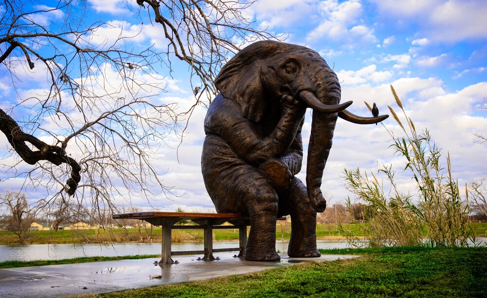 wise Asian elephant sculpture