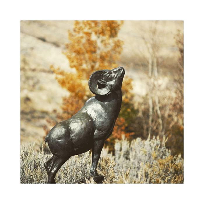 Bighorn sheep sculpture bronze