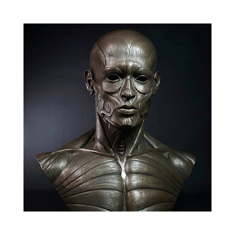 bronze bust of muscle (2)